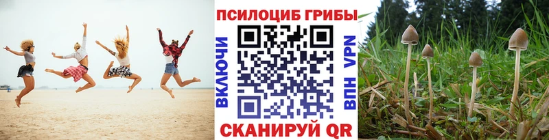 Купить закладки  Калининград  Псилоцибиновые грибы GOLDEN TEACHER 